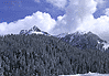 Slopes of Mt. Rainier